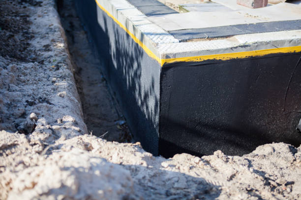 Waterproofing diagnostic process in Dane